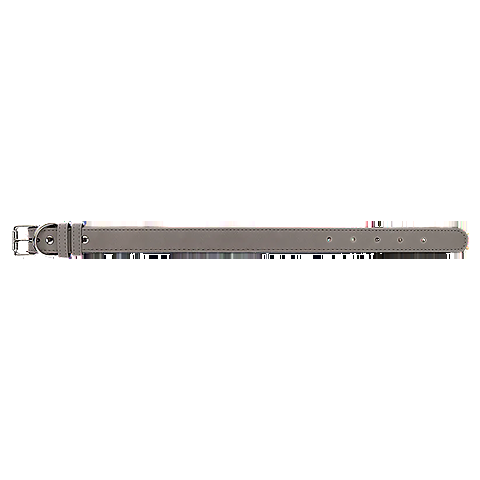 GrayCollar