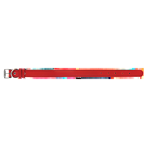 RedCollar