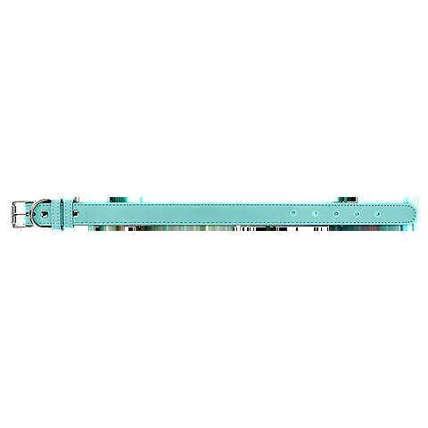 TealCollar