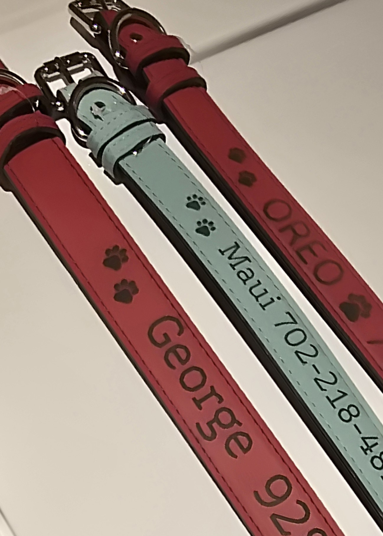Dogcollars3