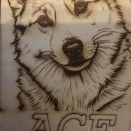 PetSupply1